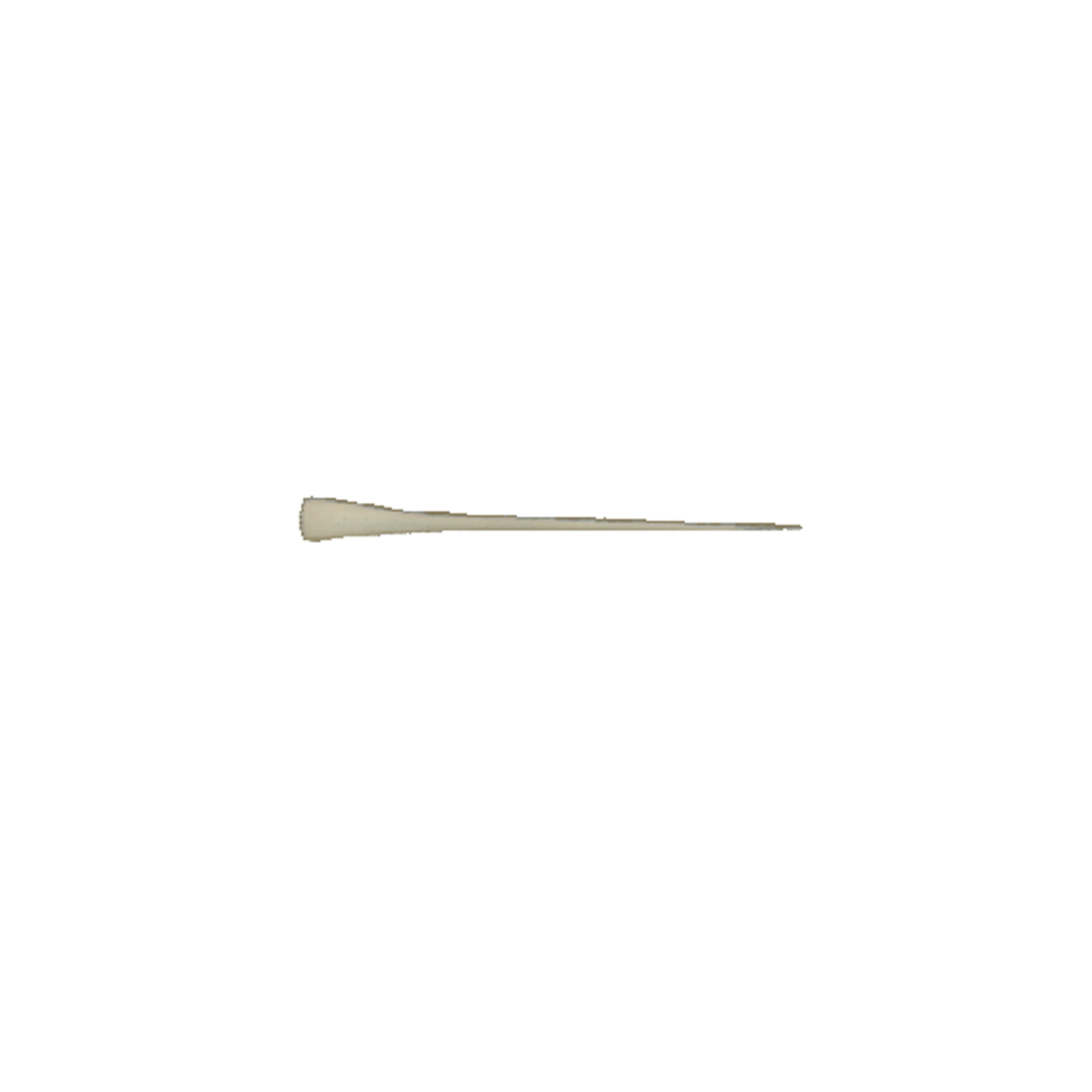 p646129