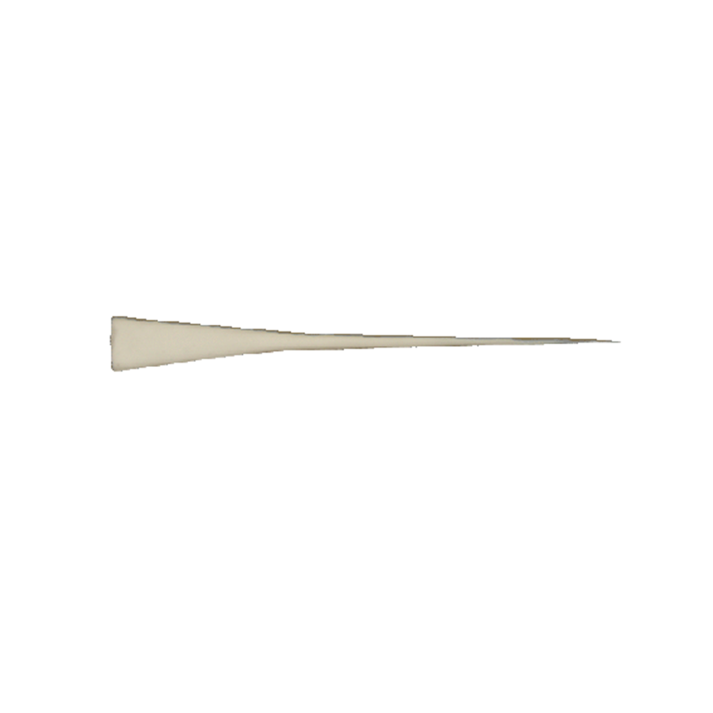 p646129