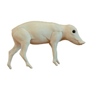 Wildschwein (Sus scrofa) Frischling ca 4kg Lebendgewicht, rechts gedreht