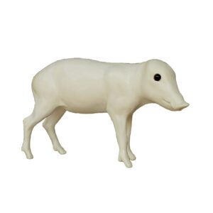 Wildschwein (Sus scrofa) Frischling ca 6kg Lebendgewicht, rechts gedreht