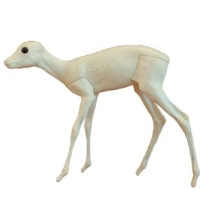Rehkitz (Capreolus capreolus) stehend, nach links gedreht
