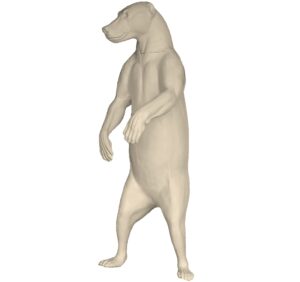 Bär (Braunbär) groß, aufrecht, geschlossener Fang (Ursus arctos)