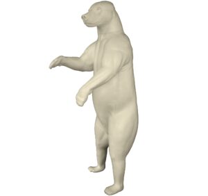 Bär (Braunbär) sehr groß, aufrecht, geschlossener Fang (Ursus arctos)