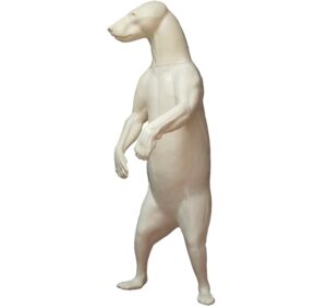 Bär (Eisbär) mittelgroß, aufrecht, geschlossener Fang (Ursus maritimus)
